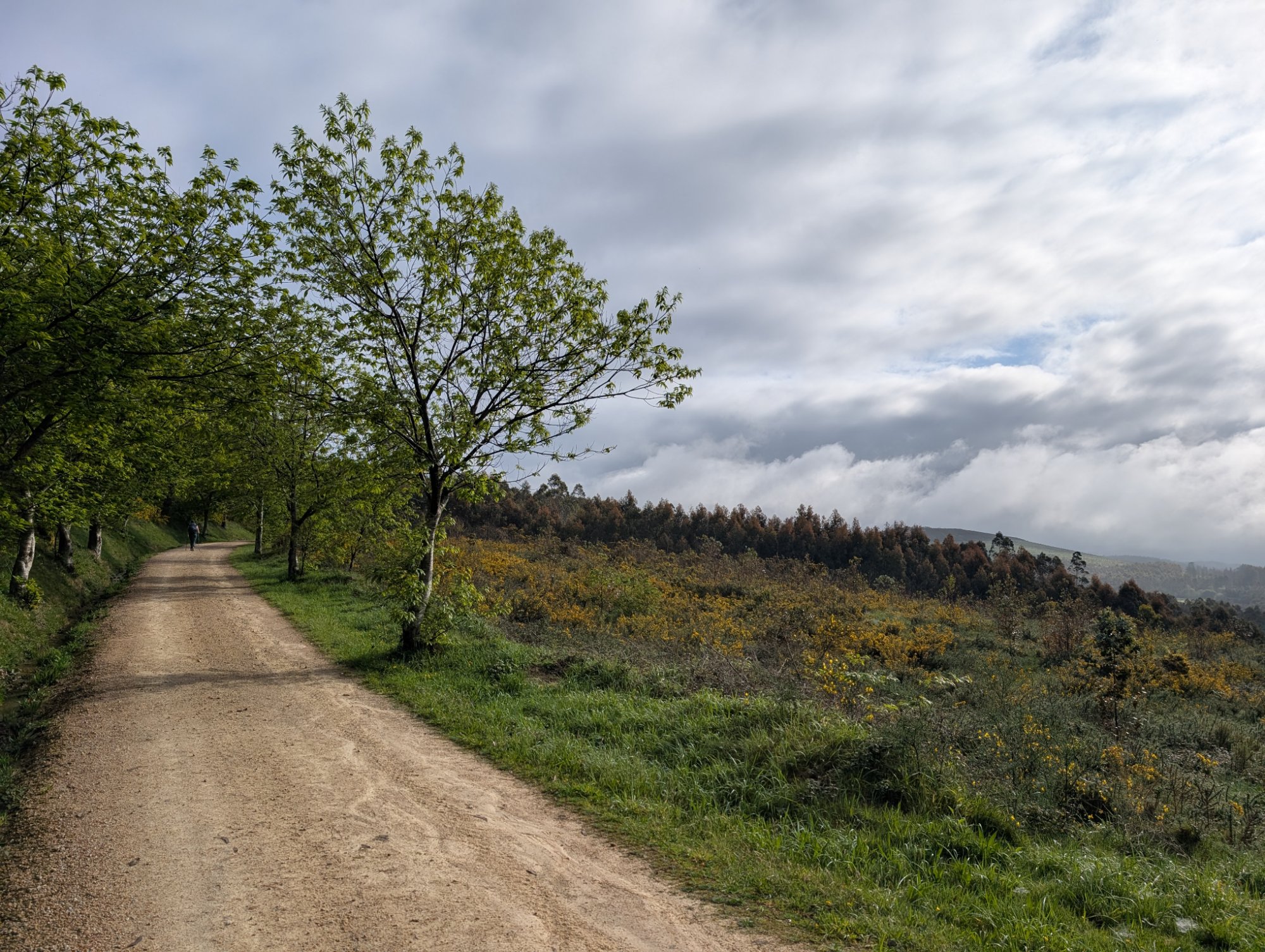 The Camino de Santiago