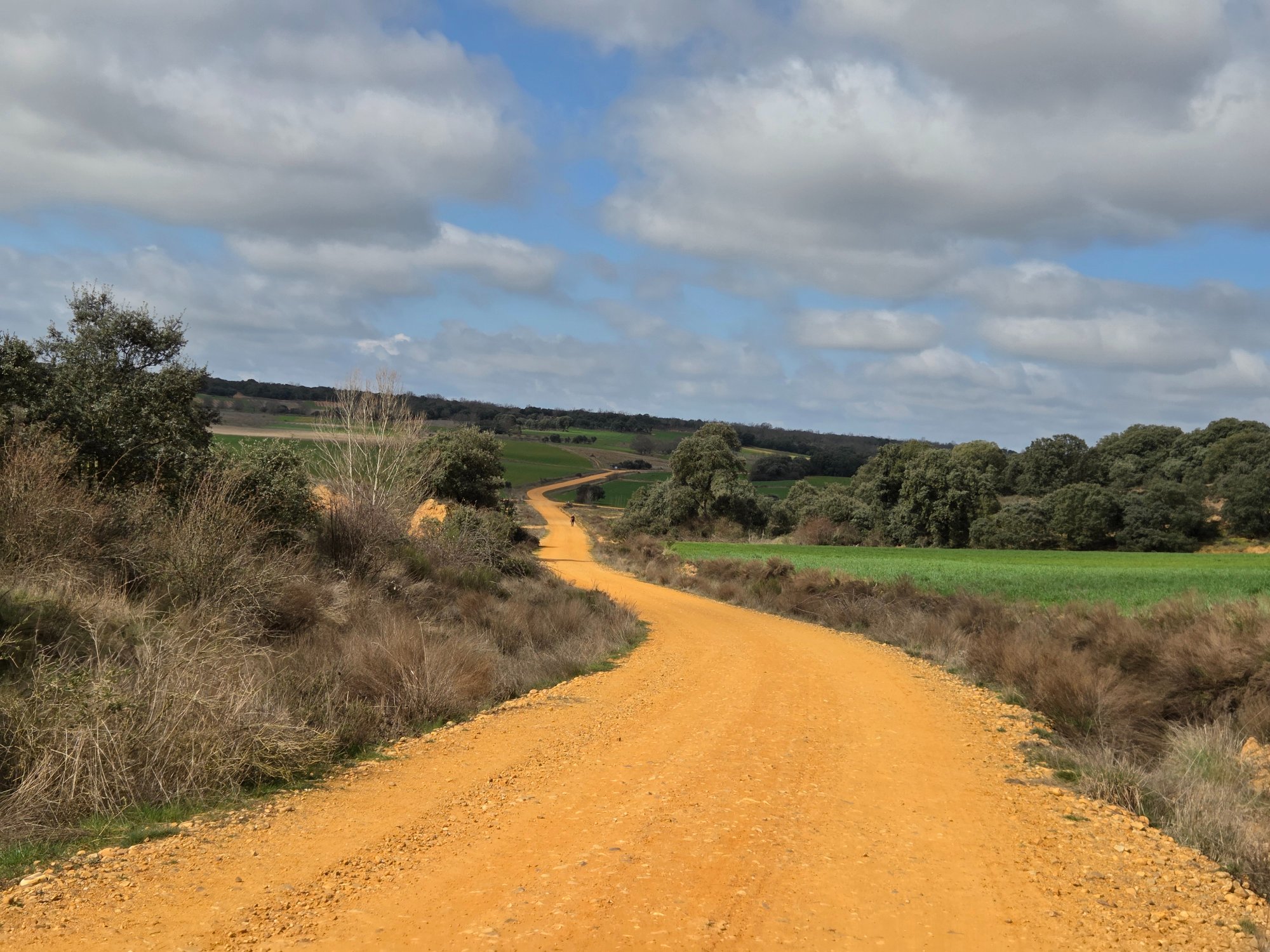 Camino landscape