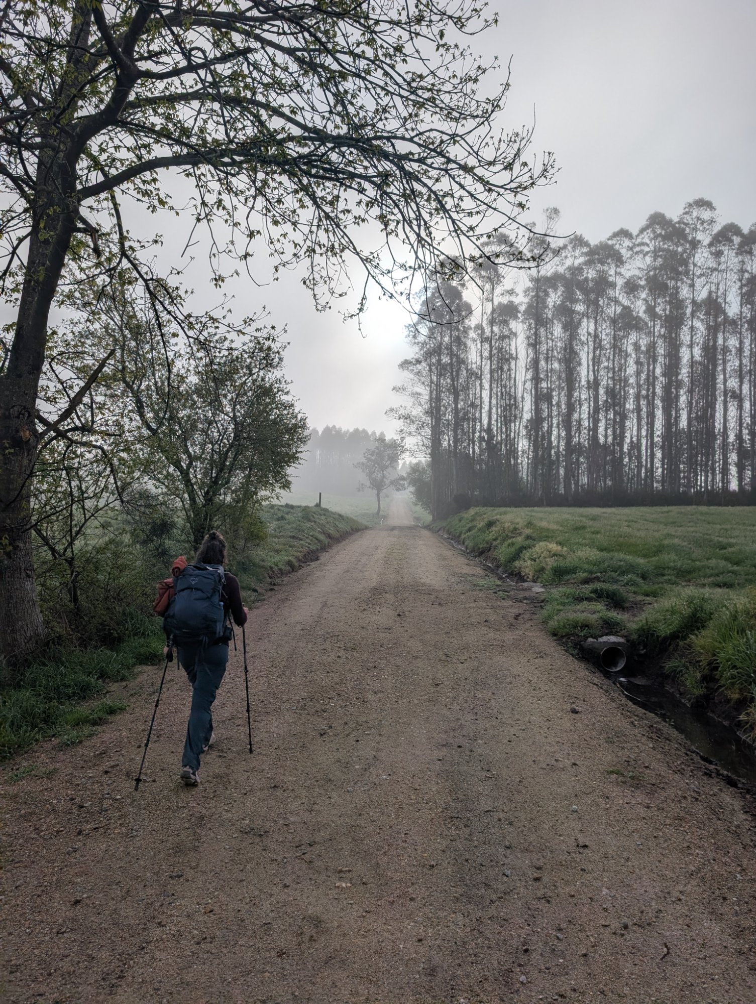 Walking the Camino de Santiago