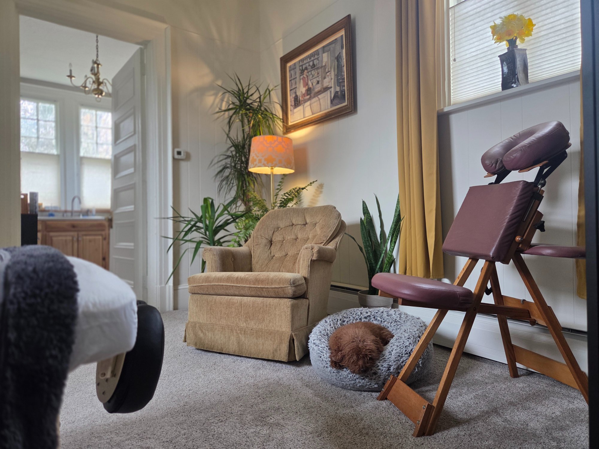 The treatment room at Lumina Bodywork